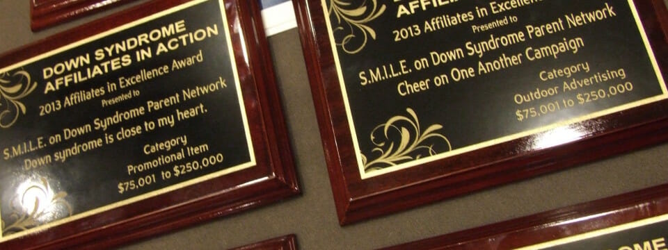 SMILE 5 award recipient- Down Syndrome Affiliates in Action (DSAIA) – 2013 Affiliates in Excellence Awards